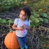 Tom and Zach's Pumpkin Patch photo