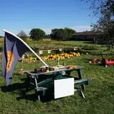 Tom and Zach's Pumpkin Patch photo