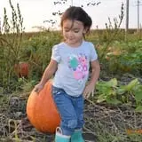 Tom and Zach's Pumpkin Patch photo