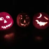 Tom and Zach's Pumpkin Patch photo