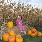 Tom and Zach's Pumpkin Patch photo