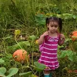 Tom and Zach's Pumpkin Patch photo