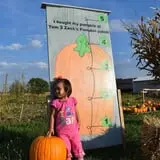 Tom and Zach's Pumpkin Patch photo