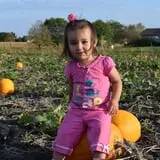 Tom and Zach's Pumpkin Patch photo