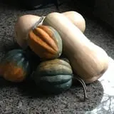 Tom and Zach's Pumpkin Patch photo