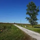 Tom and Zach's Pumpkin Patch photo