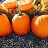 Pregitzer Farm Market photo