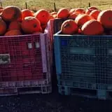 Pregitzer Farm Market photo
