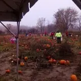 Pregitzer Farm Market photo