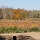 Pregitzer Farm Market photo