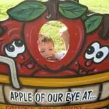 Coston Farm and Apple House photo