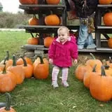 Coston Farm and Apple House photo
