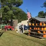 Coston Farm and Apple House photo