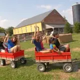 Barnyard Kingdom photo