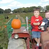 Barnyard Kingdom photo