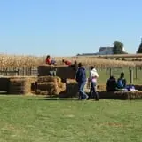 Barnyard Kingdom photo