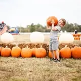 Brookdale Farms Fall Festival photo