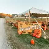 Brookdale Farms Fall Festival photo