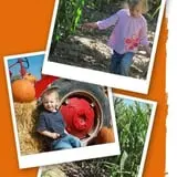Crazy Corn Maze photo