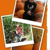 Crazy Corn Maze photo