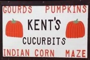 Kent's Cucurbits Pumpkin Patch & Corn Maze Logo