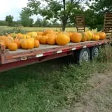 Peach Ridge Farms photo