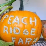 Peach Ridge Farms photo