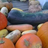 Peach Ridge Farms photo