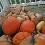 Peach Ridge Farms photo