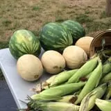Peach Ridge Farms photo