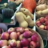 Peach Ridge Farms photo