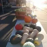 Peach Ridge Farms photo