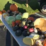 Peach Ridge Farms photo