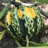 Peach Ridge Farms photo
