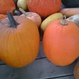 Peach Ridge Farms photo