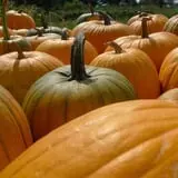 Peach Ridge Farms photo