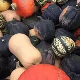 Peach Ridge Farms photo