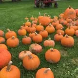 Peach Ridge Farms photo