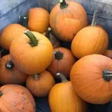 Peach Ridge Farms photo