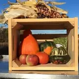 Peach Ridge Farms photo