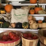 Peach Ridge Farms photo