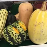 Peach Ridge Farms photo