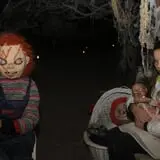The Haunted Swamp photo
