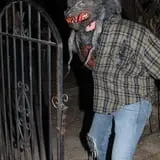 The Haunted Swamp photo