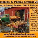 Pumpkins & Ponies Festival photo