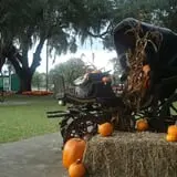 Pumpkins & Ponies Festival photo