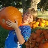 Pumpkins & Ponies Festival photo