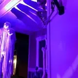 Therrien Manor Yard Haunt photo