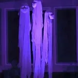 Therrien Manor Yard Haunt photo