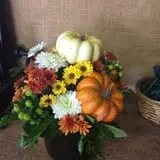 Buxton's Garden Farm & Flower Shop photo